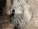 lexus-ls460-600h-etutasauspyorasto-