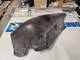 polaris-widetrak-kelkan-kaytetty-fender-lh-wide-blk-5437421-