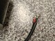 wiko-plon-piensiemenlevittimen-