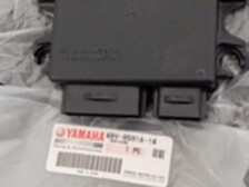 Yamaha, Johnson Evinrude