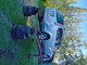 ford-focus-