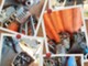 mercruiser-