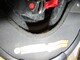 scorpion-