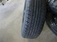 fortuna-sport-