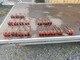 jf-cr320-piikkeja-poyhimeen-19kpl-