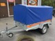 tema-eco-201a-
