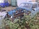 volvo-amazon-