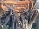 valmet-655-