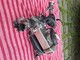 egr-venttiili-audi-a4-30-b7-tdi-