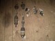 nissan-sunny-n14-