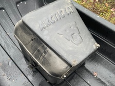 Arctic cat