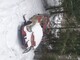 fiat-600-