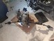 mazda-6-