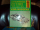 alfamer-haynes-korjausopas-