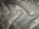 voltyre-169-34-
