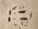 mitsubishi-grandis-