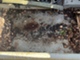 skoda-130-