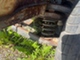 skoda-130-