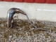 derbi-x-treme-