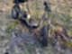 baotian-fude-