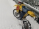 suzuki-rm-