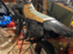 derbi-senda-
