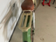 gritzner-brummi-