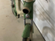 gritzner-brummi-