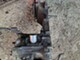 peugeot-speedfight-2-