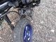 peugeot-squab-