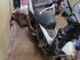 peugeot-satelis-