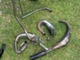 aprilia-sx-