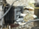 peugeot-speedfight-3-