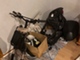 yamaha-aerox-
