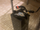 sur-ron-light-bee-