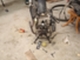 solifer-gt-