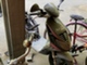 piaggio-nrg-