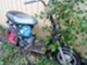 baotian-fude-