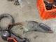 piaggio-nrg-