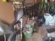 ycf-lite-