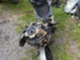 solifer-gt-