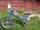 tunturi-pappa-