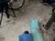 suzuki-s-1-