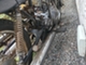 suzuki-gt-