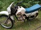 suzuki-s-1-