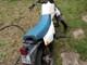 suzuki-s-1-