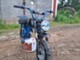 manki-skygo-