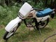 suzuki-s-1-