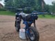 manki-skygo-