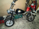 honda-monkey-
